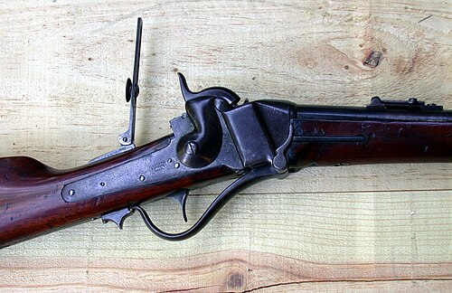 Sharps carbine